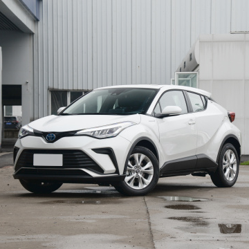 Пазадарожнік Toyota IZOA HEV